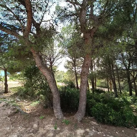 La Maison Verte * Sète