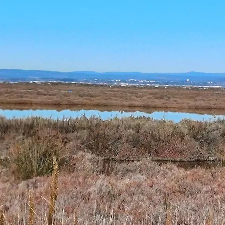 La Maison Verte Apartment