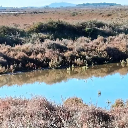 La Maison Verte Apartment *