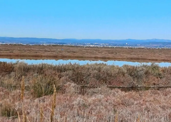 La Maison Verte Apartment