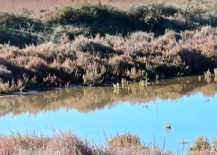 La Maison Verte Apartment *